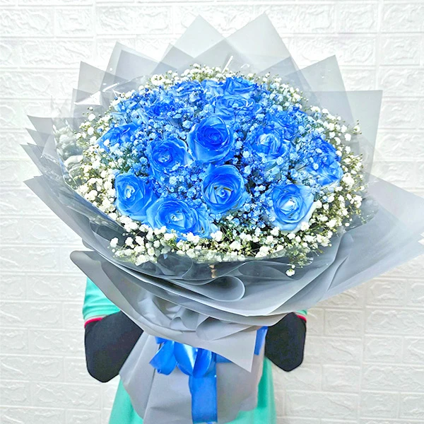 hoa hong xanh hb459