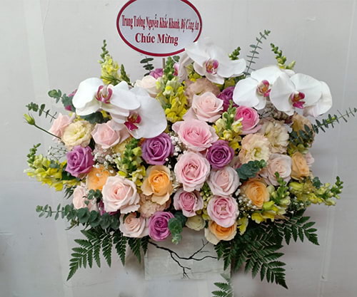 lang hoa sinh nhat dep nhat