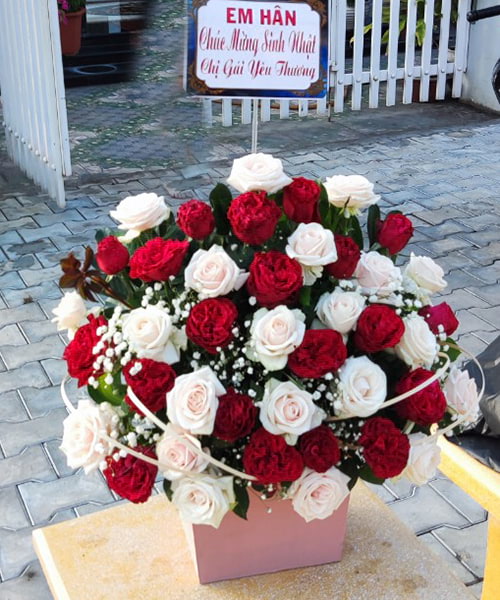 lang hoa sinh nhat dep nhat