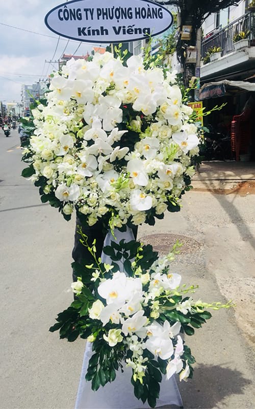 hoa dam tang dep nhat