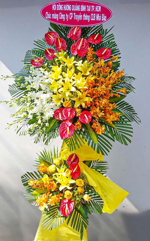 hoa khai truong